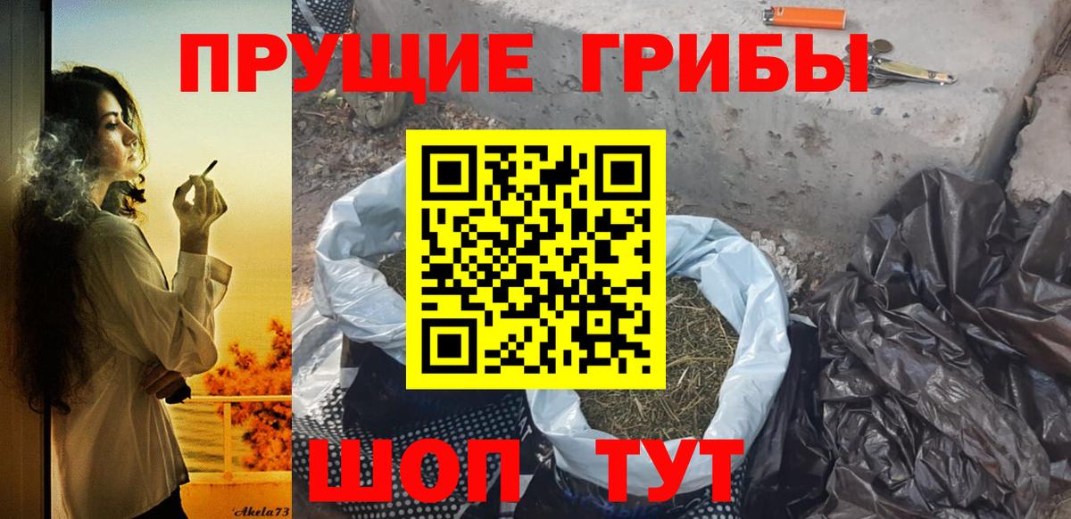 Псилоцибиновые грибы мицелий Ульяновск